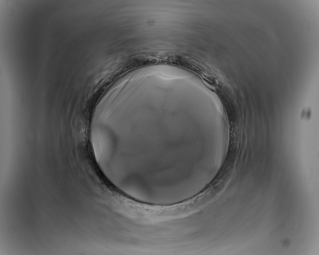 X0000100230039200806131346