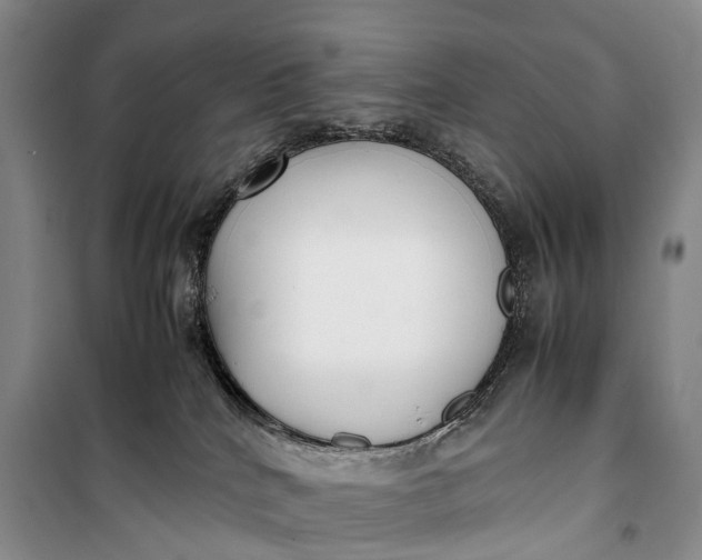 X0000100230040200806131346