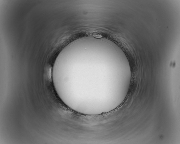 X0000100230041200806131346