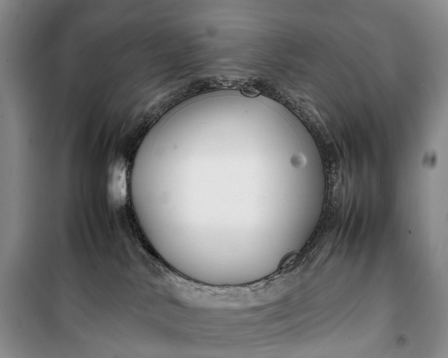 X0000100230042200806131346