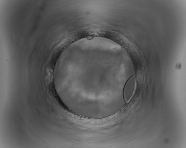 X0000100230043200806131346