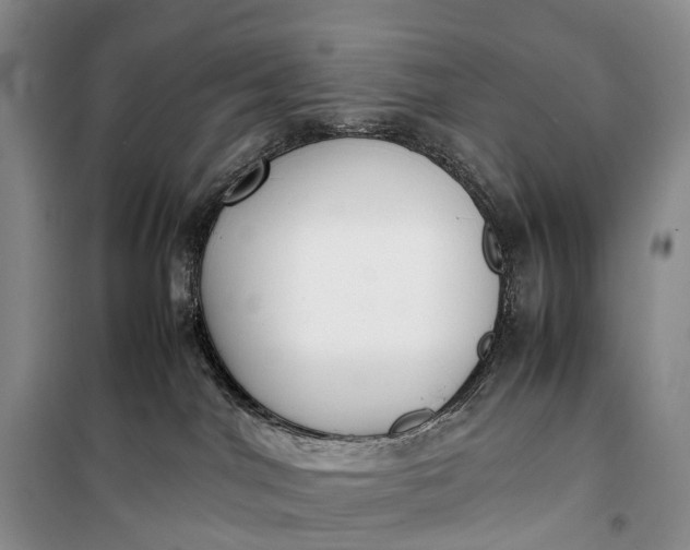 X0000100230044200806131346