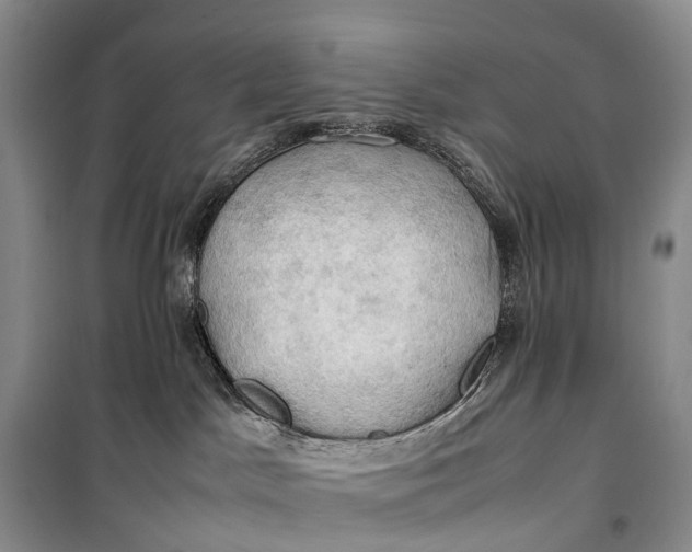 X0000100230045200806131346