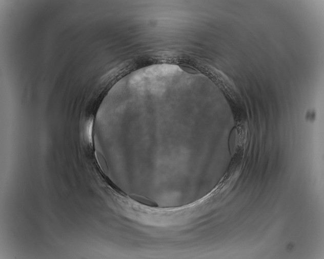 X0000100230047200806131345