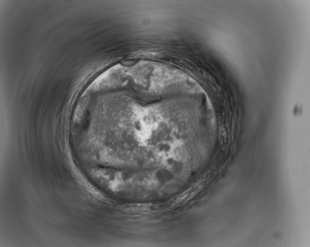 X0000100230049200806131345