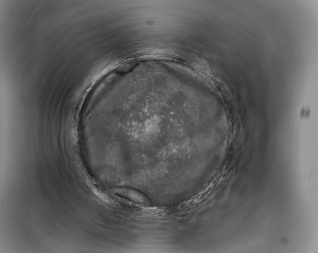 X0000100230050200806131345