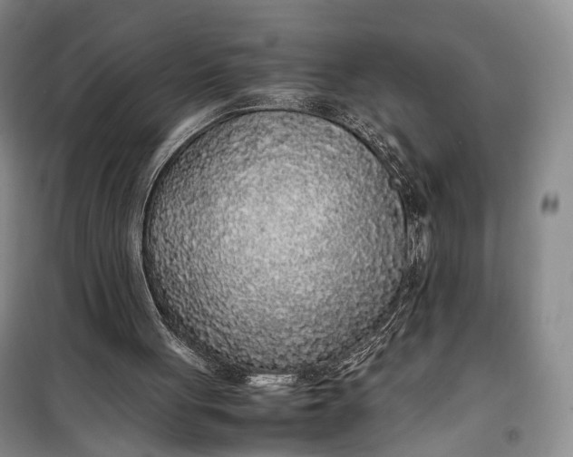 X0000100230051200806131345