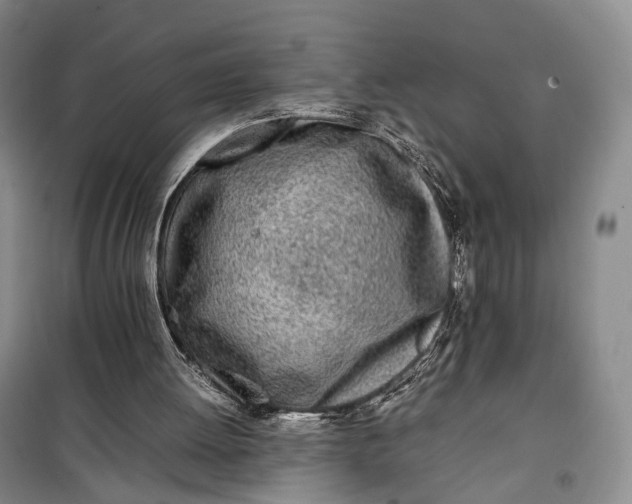 X0000100230052200806131345