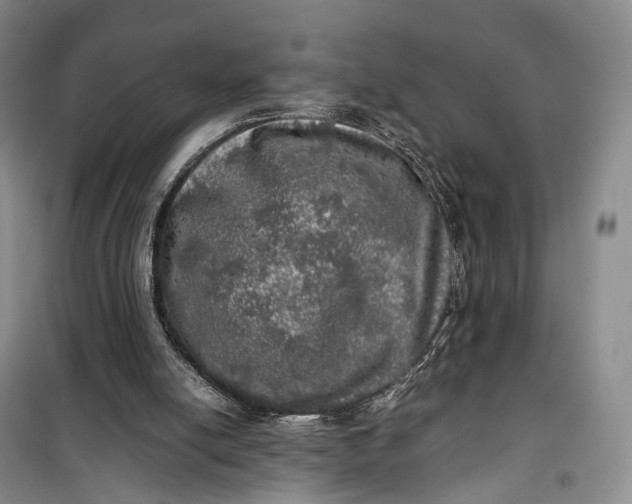 X0000100230054200806131345