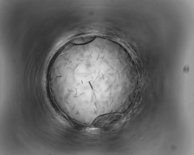 X0000100230055200806131345