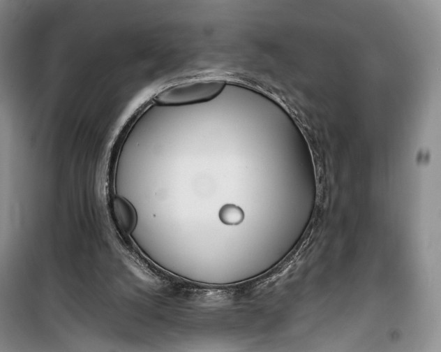 X0000100230056200806131345