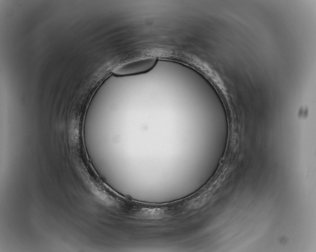 X0000100230057200806131345