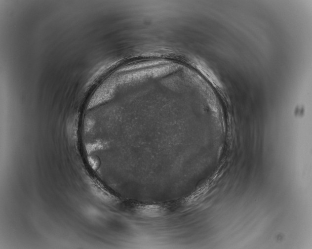 X0000100230058200806131345