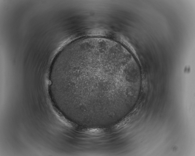 X0000100230059200806131345