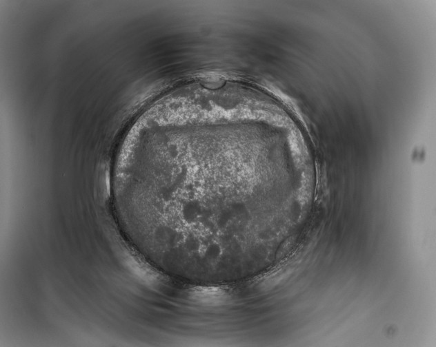 X0000100230061200806131345