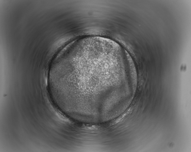 X0000100230062200806131345