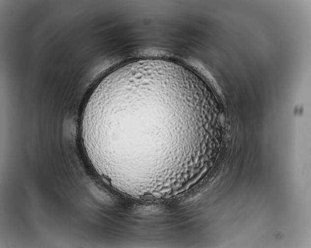 X0000100230063200806131345