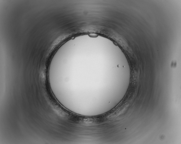 X0000100230064200806131345