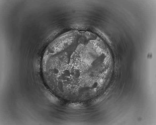 X0000100230065200806131345