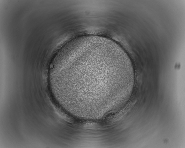 X0000100230066200806131345