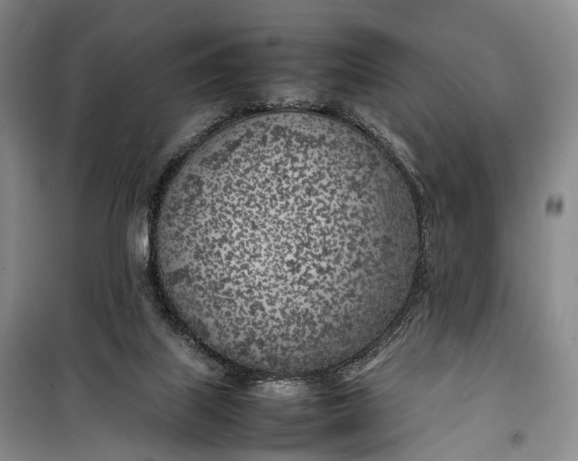 X0000100230067200806131345