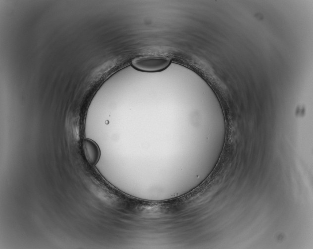 X0000100230068200806131345