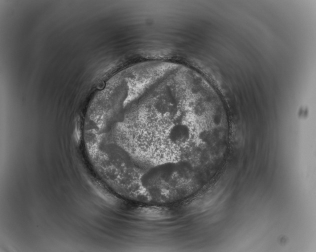 X0000100230069200806131345