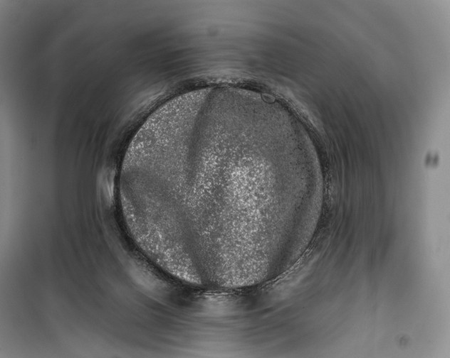 X0000100230070200806131345