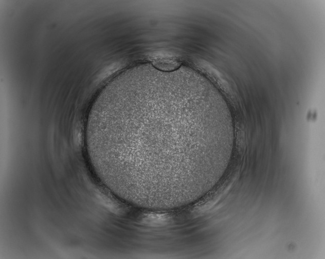 X0000100230071200806131345