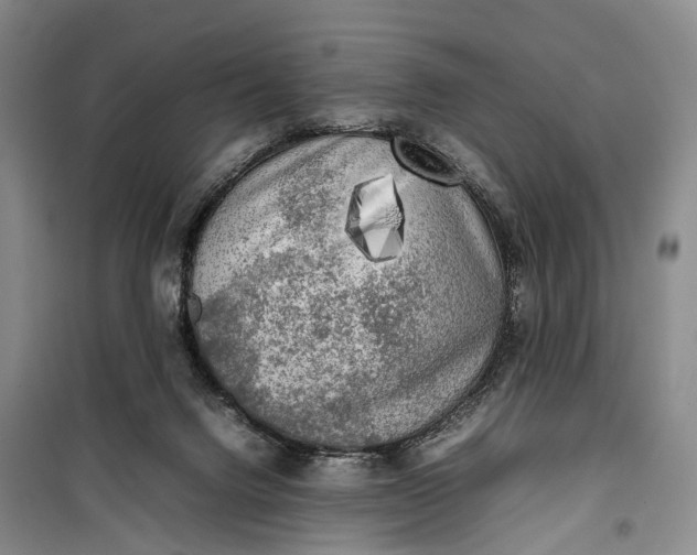 X0000100230072200806131345