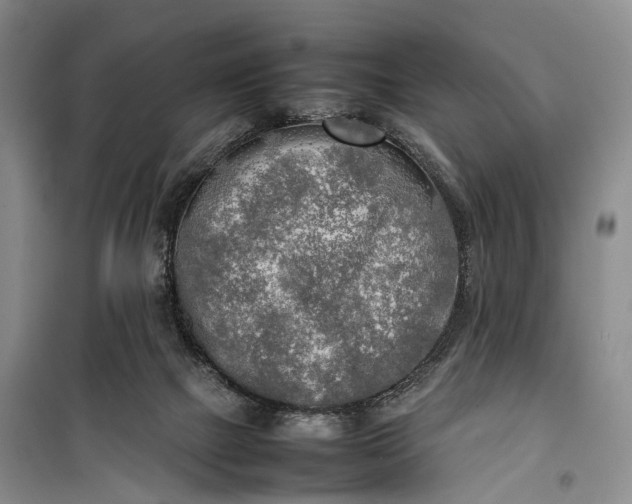 X0000100230073200806131345