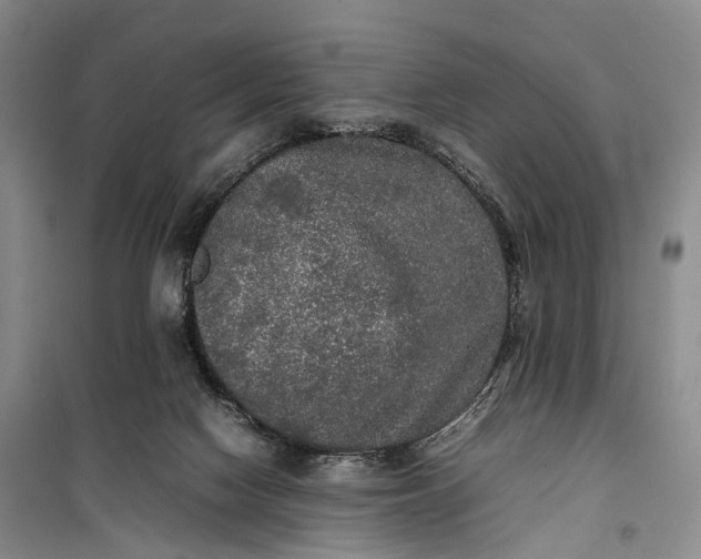 X0000100230074200806131345