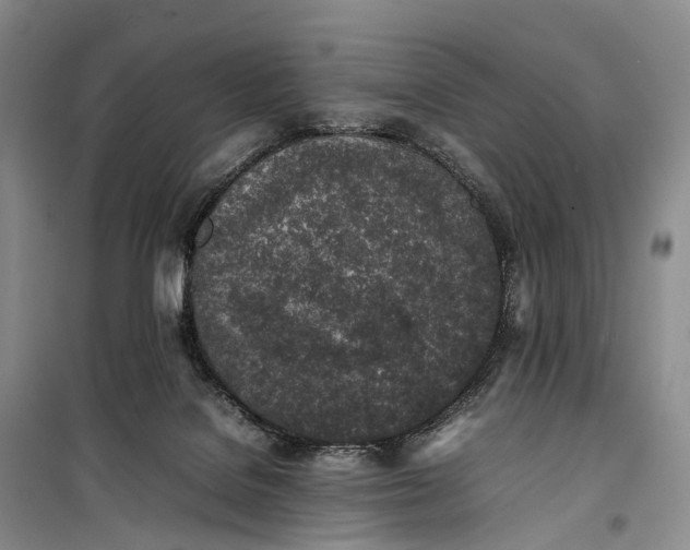 X0000100230076200806131345