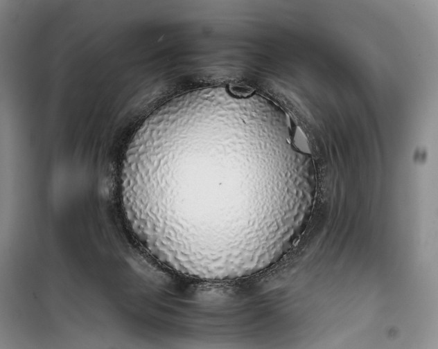 X0000100230077200806131345