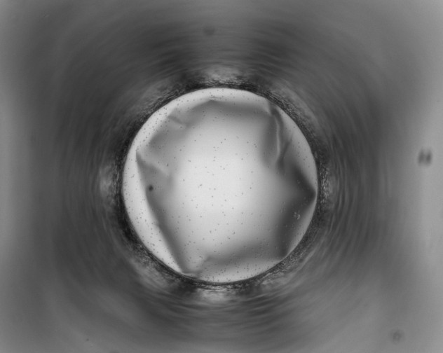 X0000100230079200806131345