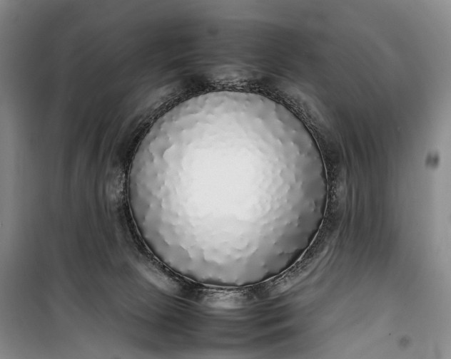 X0000100230081200806131345