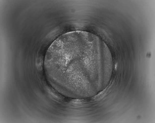 X0000100230082200806131345