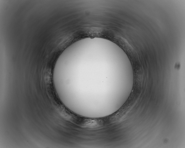 X0000100230083200806131345