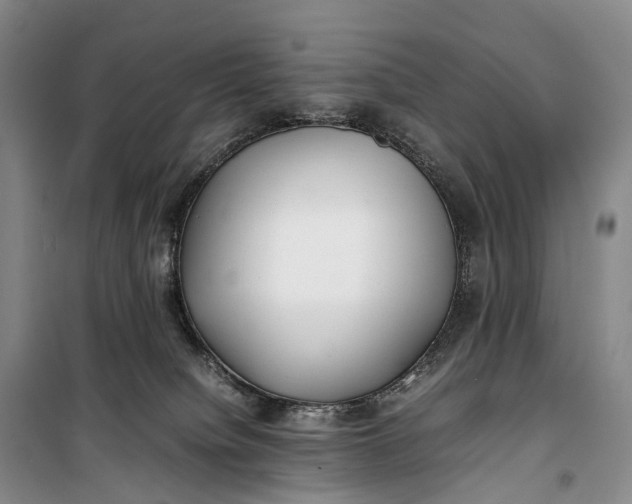 X0000100230084200806131345