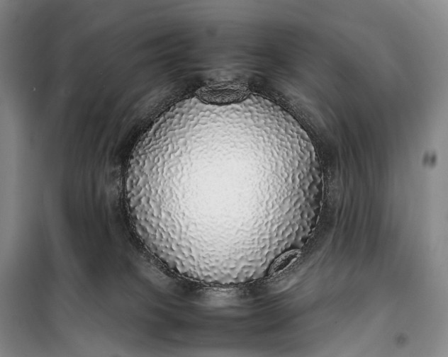 X0000100230085200806131345