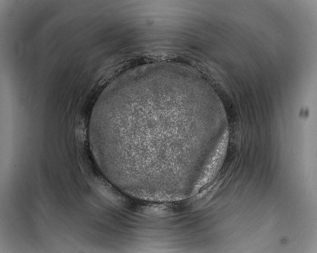 X0000100230086200806131345