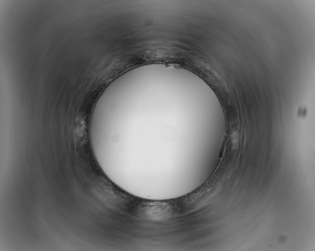 X0000100230087200806131345