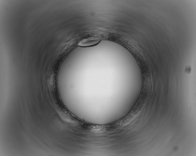 X0000100230088200806131345