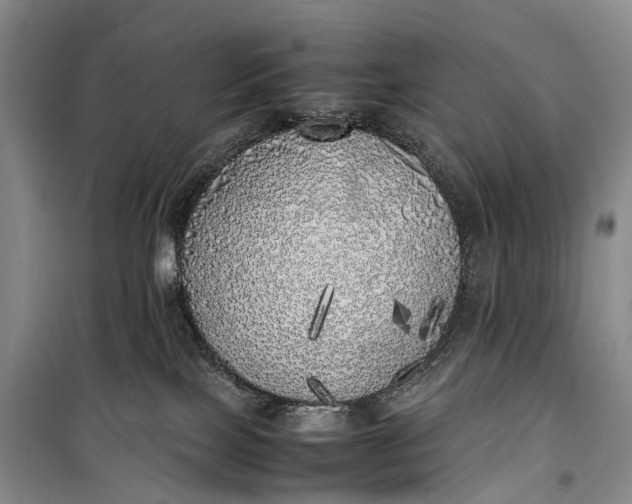 X0000100230089200806131345