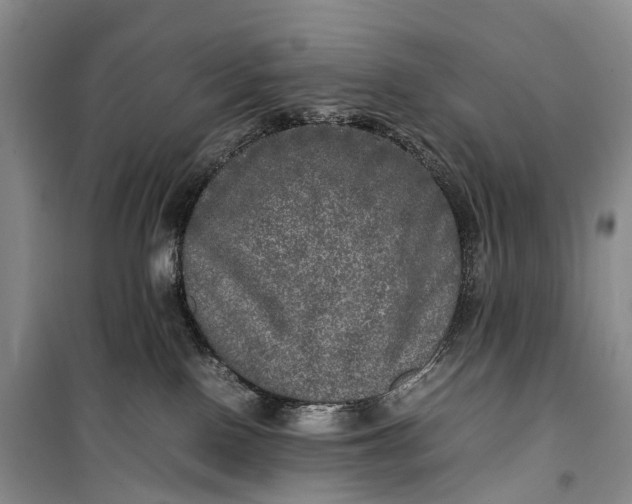 X0000100230090200806131345