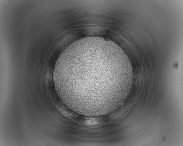 X0000100230091200806131345