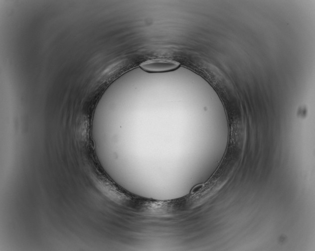 X0000100230092200806131345