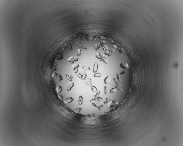 X0000100230093200806131345