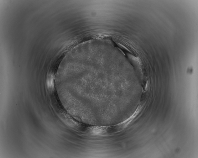 X0000100230094200806131345