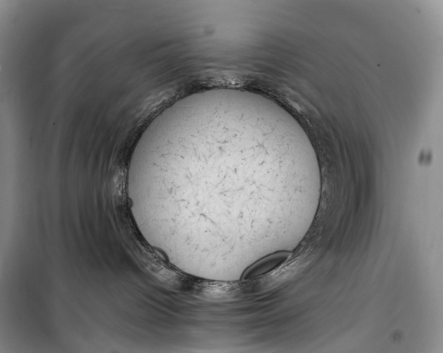 X0000100230096200806131345